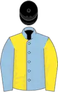 LIGHT BLUE and YELLOW HALVED, sleeves reversed, black cap