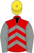 Red, grey chevrons, grey sleeves, yellow cap