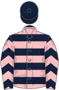 Dark blue, pink hoops, chevrons on sleeves, dark blue cap