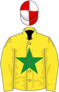Yellow, green star, red and white quartered cap