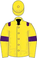 Yellow, purple epaulets and armlets
