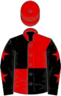 Red and Black (quartered), Black sleeves, Red stars, Red cap