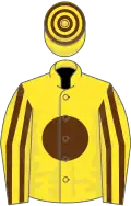 Yellow, Brown disc, striped sleeves, hooped cap