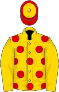 Yellow, red spots, yellow sleeves, yellow cap, red hoop