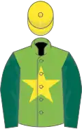 Light green, yellow star, dark green sleeves, yellow cap