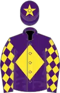 Purple, yellow diamond, diamonds on sleeves and star on cap