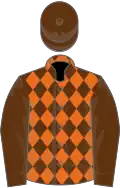 Brown and orange diamonds, brown sleeves and cap