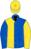 Royal blue and yellow (halved), sleeves reversed, yellow cap