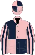 Pink and dark blue (quartered), striped sleeves, quartered cap