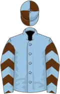 Light blue, brown chevrons on sleeves, quartered cap