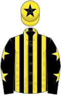 Black and yellow stripes, black sleeves, yellow stars, yellow cap, black star