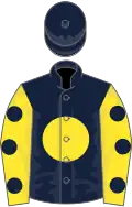 Dark Blue, Yellow disc, Yellow sleeves, Dark Blue spots