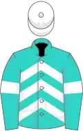 Turquoise, white chevrons and armlets, white cap