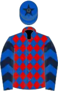 Royal blue and red diamonds, royal blue sleeves, dark blue chevrons, royal blue cap, dark blue star