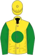 Yellow, green disc, green sleeves, yellow cap