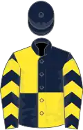 Dark blue and yellow (quartered), chevrons on sleeves