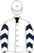 White, dark blue and white chevrons on sleeves