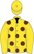 Yellow, Brown spots, Yellow sleeves and cap