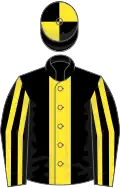 Black, yellow stripe, striped sleeves, quartered cap