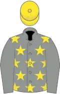 Grey, yellow stars, grey sleeves, yellow cap