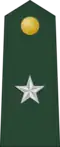 Brigadier General