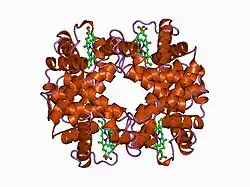 1a0z: HEMOGLOBIN (VAL BETA1 MET) MUTANT