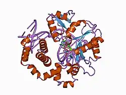 1bpy: HUMAN DNA POLYMERASE BETA COMPLEXED WITH GAPPED DNA AND DDCTP