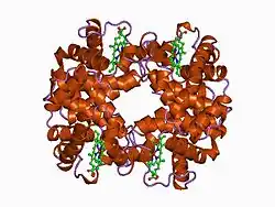 1bz1: HEMOGLOBIN (ALPHA + MET) VARIANT