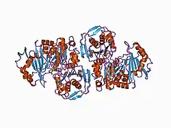 1c4g: PHOSPHOGLUCOMUTASE VANADATE BASED TRANSITION STATE ANALOG COMPLEX