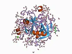1c5n: STRUCTURAL BASIS FOR SELECTIVITY OF A SMALL MOLECULE, S1-BINDING, SUB-MICROMOLAR INHIBITOR OF UROKINASE TYPE PLASMINOGEN ACTIVATOR