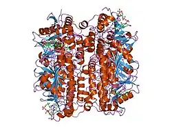1dub: 2-ENOYL-COA HYDRATASE, DATA COLLECTED AT 100 K, PH 6.5