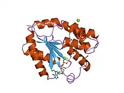 1e2e: HUMAN THYMIDYLATE KINASE COMPLEXED WITH THYMIDINE MONOPHOSPHATE, ADENOSINE DIPHOSPHATE,A MAGNESIUM-ION AND ALF3