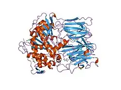 1e5t: PROLYL OLIGOPEPTIDASE FROM PORCINE BRAIN, MUTANT