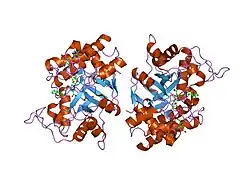 1ef3: FIDARESTAT BOUND TO HUMAN ALDOSE REDUCTASE