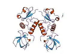 1efn: HIV-1 NEF PROTEIN IN COMPLEX WITH R96I MUTANT FYN SH3 DOMAIN
