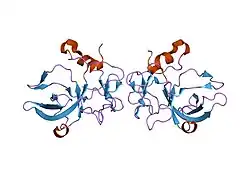 1euj: A NOVEL ANTI-TUMOR CYTOKINE CONTAINS A RNA-BINDING MOTIF PRESENT IN AMINOACYL-TRNA SYNTHETASES