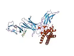 1f45: HUMAN INTERLEUKIN-12