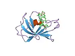 1fkb: ATOMIC STRUCTURE OF THE RAPAMYCIN HUMAN IMMUNOPHILIN FKBP-12 COMPLEX