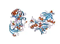 1fkn: Structure of Beta-Secretase Complexed with Inhibitor
