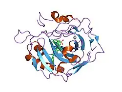 1g4j: CARBONIC ANHYDRASE II (F131V) COMPLEXED WITH 4-(AMINOSULFONYL)-N-[(2,3,4,5,6-PENTAFLUOROPHENYL)METHYL]-BENZAMIDE