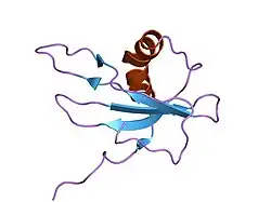 1gd3: refined solution structure of human cystatin A