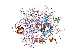 1gja: ENGINEERING INHIBITORS HIGHLY SELECTIVE FOR THE S1 SITES OF SER190 TRYPSIN-LIKE SERINE PROTEASE DRUG TARGETS