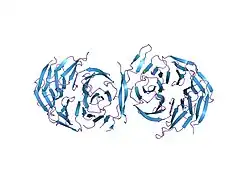 1gxr: WD40 REGION OF HUMAN GROUCHO/TLE1