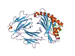 1gzp: CD1B IN COMPLEX WITH GM2 GANGLIOSIDE