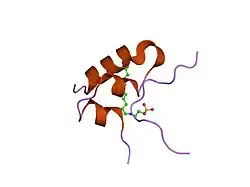 1gzy: HUMAN INSULIN-LIKE GROWTH FACTOR; IN-HOUSE DATA