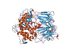 1h2x: PROLYL OLIGOPEPTIDASE FROM PORCINE BRAIN, Y473F MUTANT