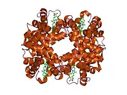 1hga: HIGH RESOLUTION CRYSTAL STRUCTURES AND COMPARISONS OF T STATE DEOXYHAEMOGLOBIN AND TWO LIGANDED T-STATE HAEMOGLOBINS: T(ALPHA-OXY)HAEMOGLOBIN AND T(MET)HAEMOGLOBIN