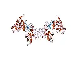 1jwh: Crystal Structure of Human Protein Kinase CK2 Holoenzyme