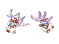 1k7a: Ets-1(331-440)+GGAG duplex