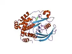 1kak: Human Tyrosine Phosphatase 1B Complexed with an Inhibitor